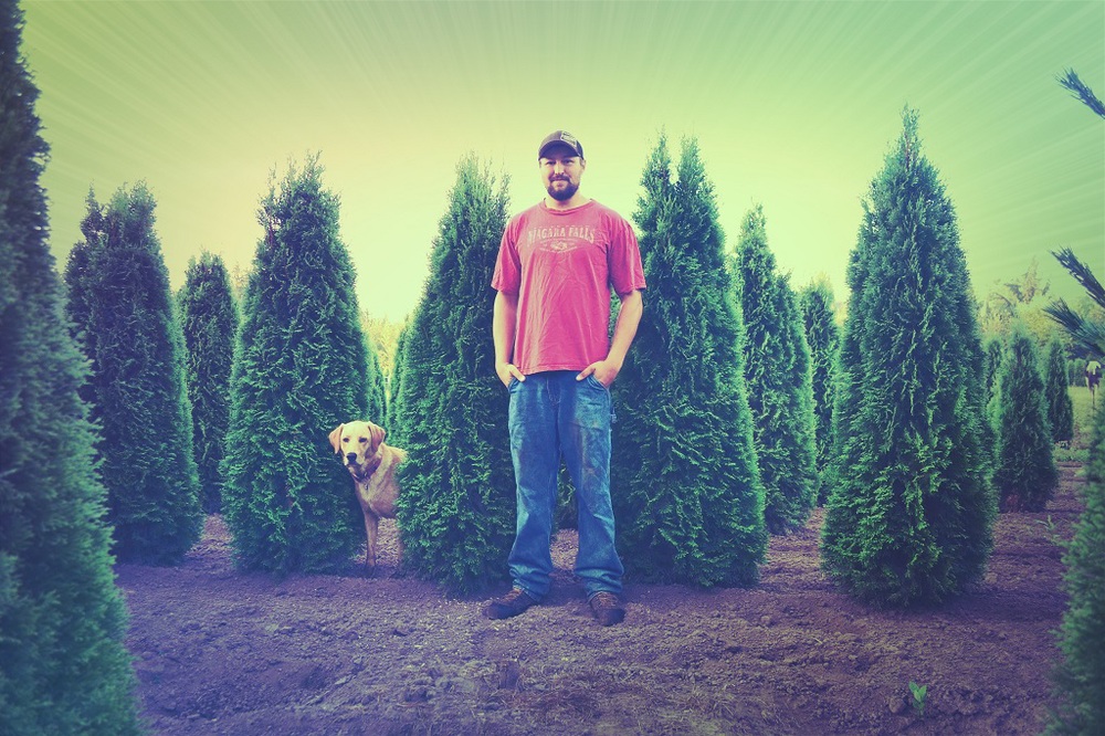 Granstrom Evergreens, Troutdale, Oregon.